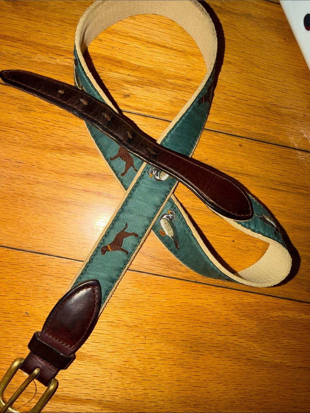 Green Hunting Embroidered Canvas Belt with Brown Leather Trim